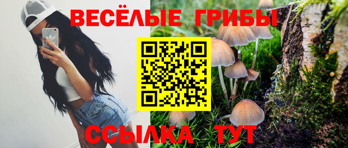 Галлюциногенные грибы Psilocybine cubensis Белебей