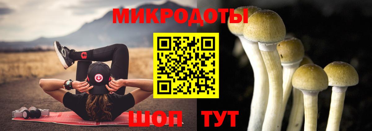 Белебей  Псилоцибиновые грибы Cubensis  Вход с VPN  Псилоцибиновые грибы Psilocybine cubensis 